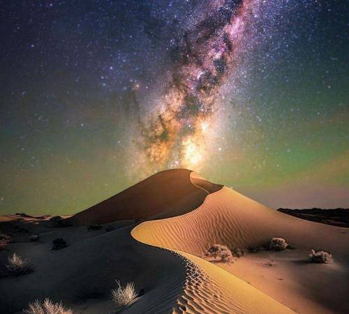 بهرام ببین میمیری میمیری میمیری
