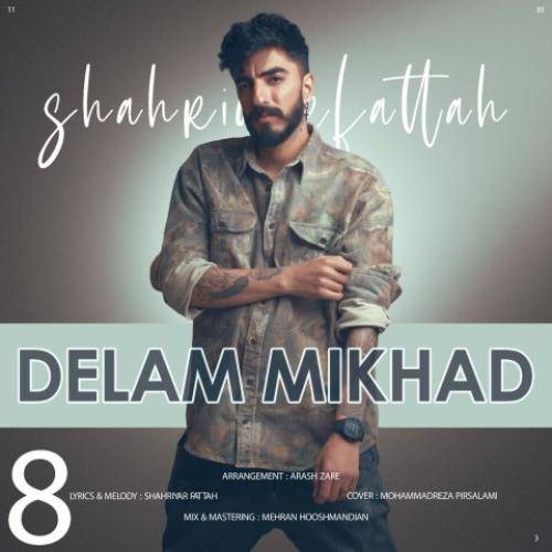 شهریار فتاح دلم میخواد