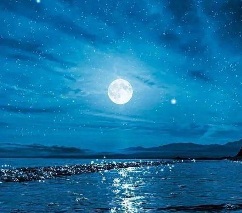 ناشناس وجودت سر تا سر خیره و با یه لبخندت روزم را زیبا میکنی