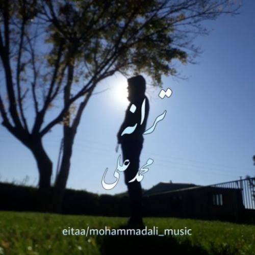 محمدعلی ترانه