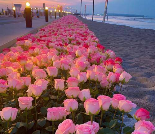 پوتک از کلابای شهر تا دافیای لوس