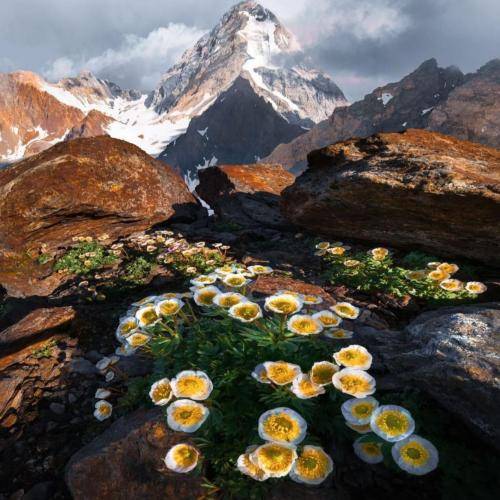  از بوی دهنم بده تشخیص ماریان