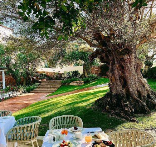 ترکی نمیتونم طاقت بیارم دارن جونم رو ازم میگیرن