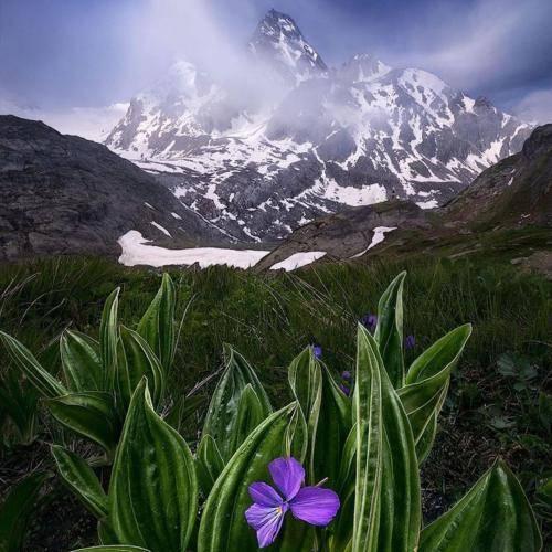 گوکهان اوزن شیمدی آغلاماک گلدیسه