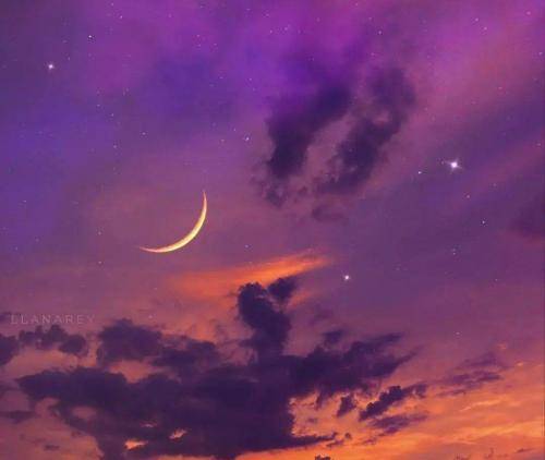 ناشناس یه وقتا فقط مرگ راه حله حاجی یه وقتا میاد بغض جای خنده