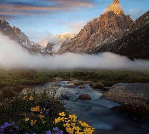 رسول محمدی تخت خواب