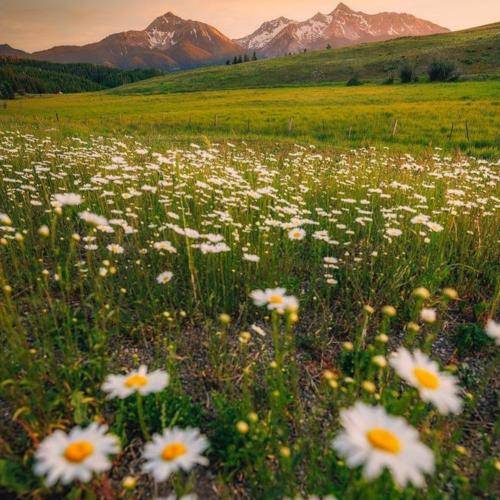  سولا گیدلیم یانیندان گسلیم
