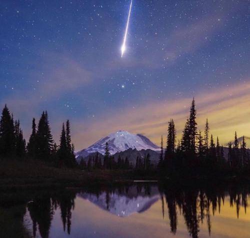 دیگه پیشت نمیام توجهتم نمیخوام