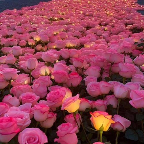  شهر من گرمه همه دارن لهجه