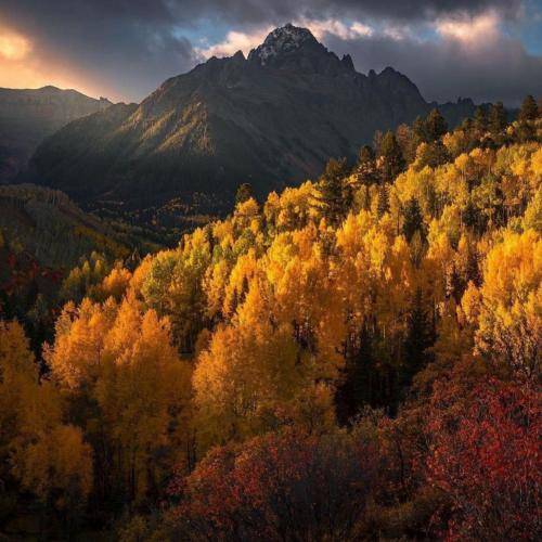  دیدم دستو بالم خیلی وقته خالیه دوست دختر ممدو قاپیدم