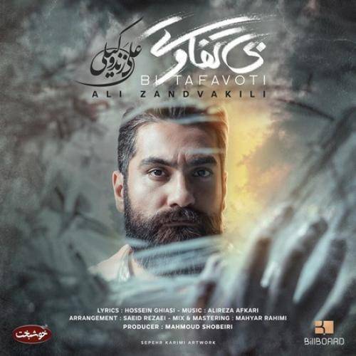 علی زندوکیلی من بی تو از مرزای نا آروم دلتنگی به تنهایی گذشتم