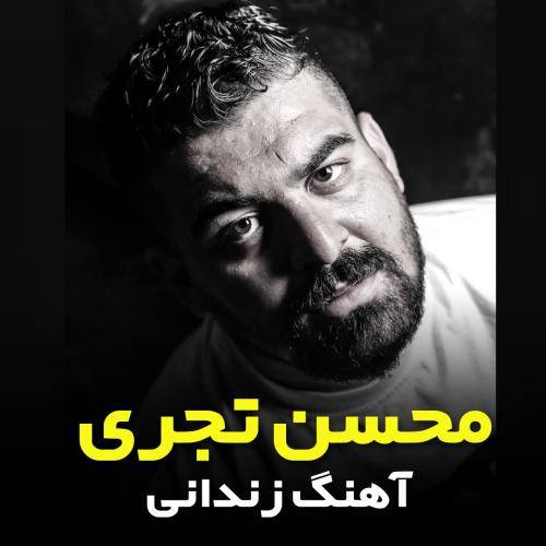 محسن تجری زندانی
