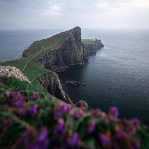 آره تورو من انگار توی خوابم دیدم