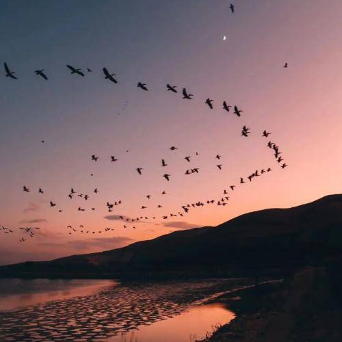  اگه خورشید نمیکنه زندگیمو روشن