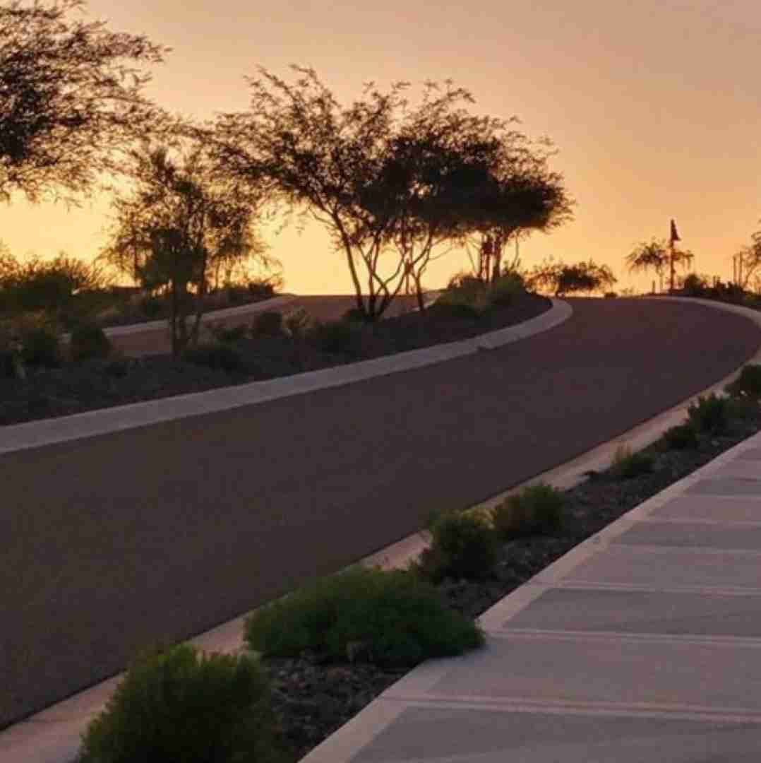  بزار اون بره میخواد بپره یه روزی میفته اون تو تله