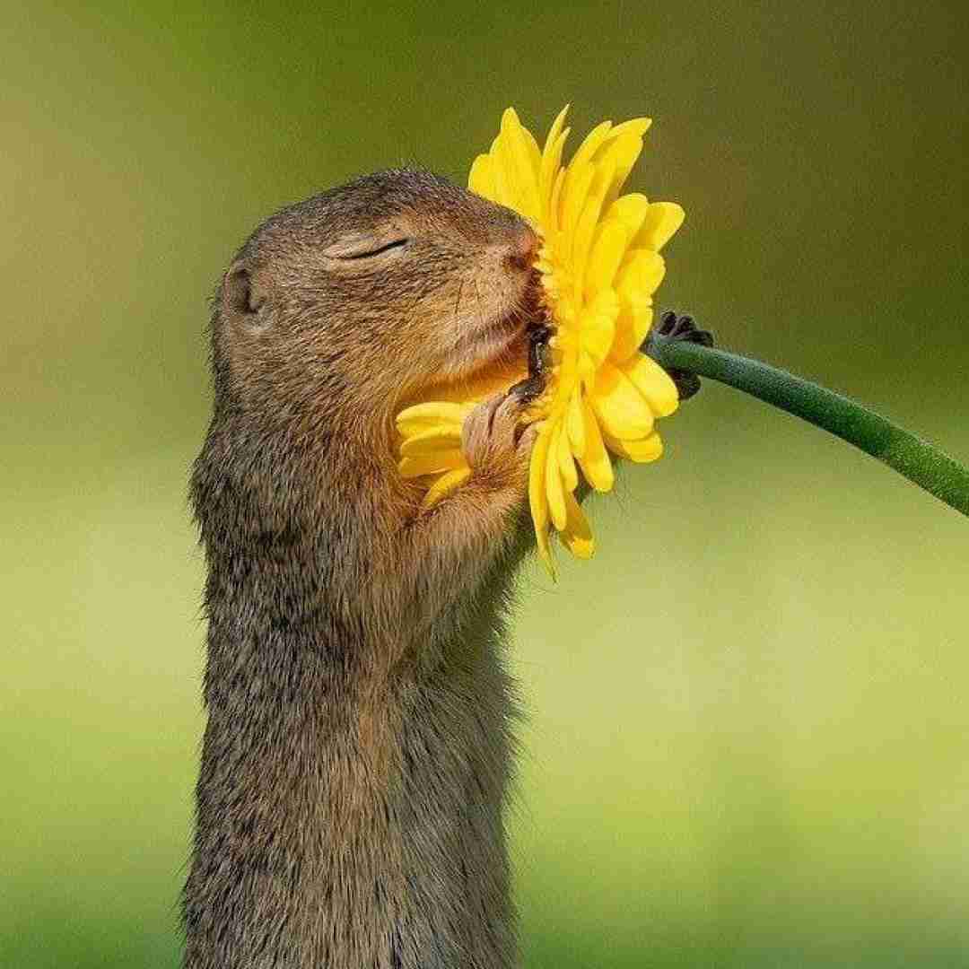 رفاقت ما مثال هر کتابه با صدای بچه