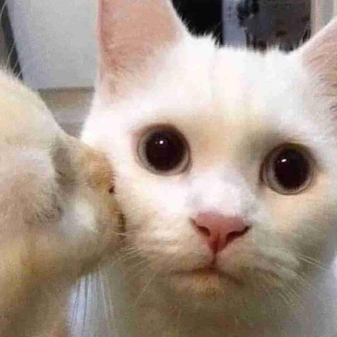  من واست در به درم اومدم تورو ببرم با صدای زن