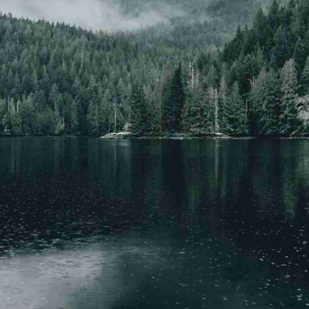  فک کم چن روژه مردمه یاد گرفتیم زخمای خودمونو دوختنو