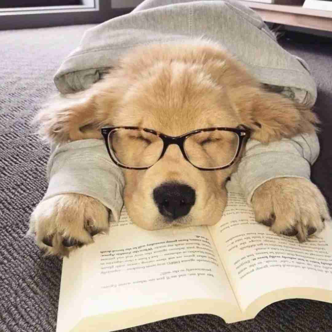 بوک میشه فرست کلس ایرلاین با صدای بچه و کلاه قرمزی