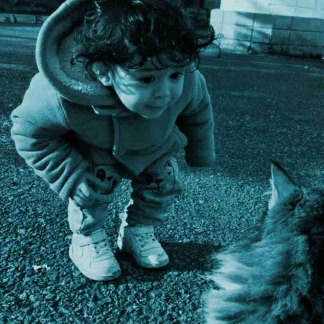  من آغاز میکنم یه پاییز پر از مرگ الو مخاطب خاصم