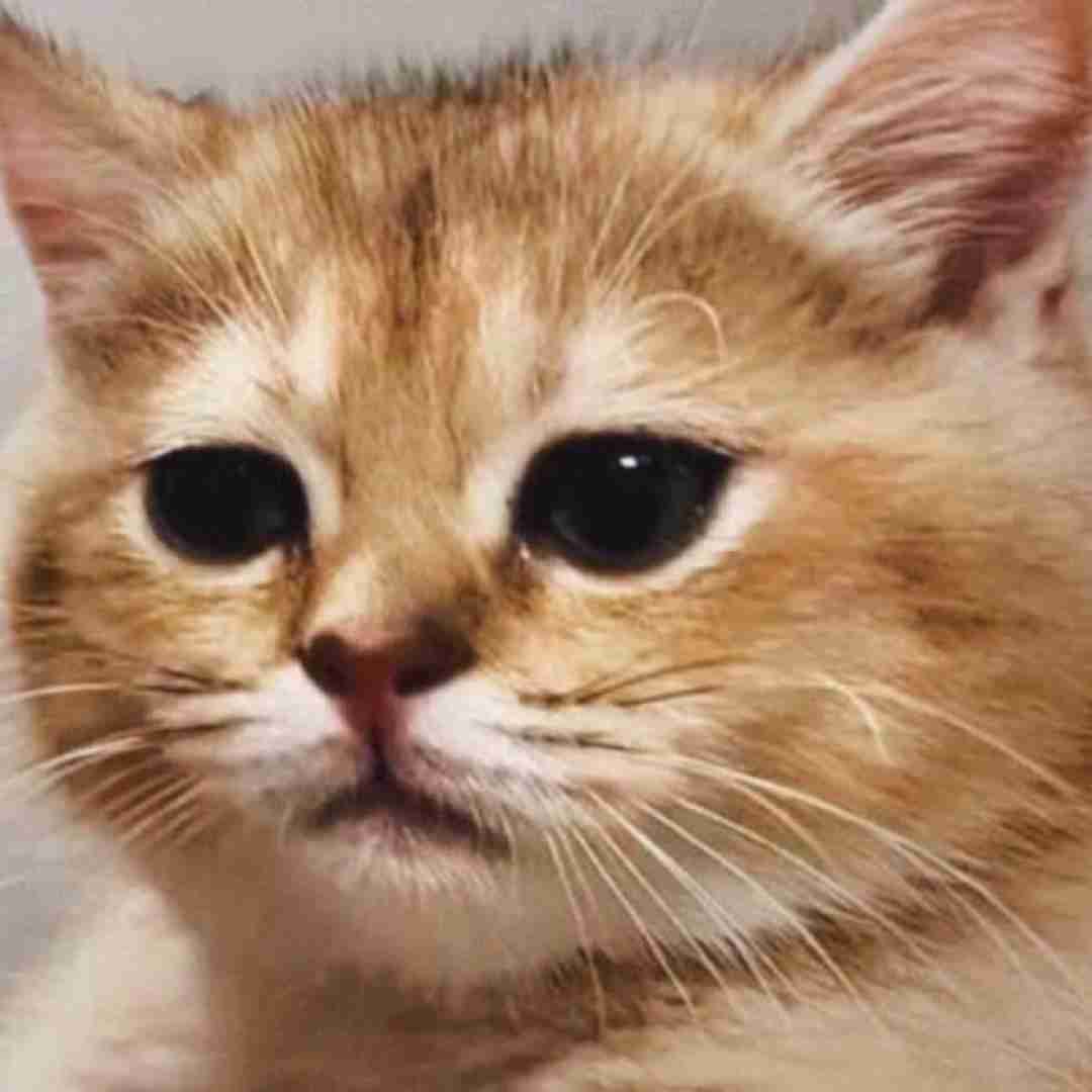  تلخم همچو شراب با صدای رونالدو