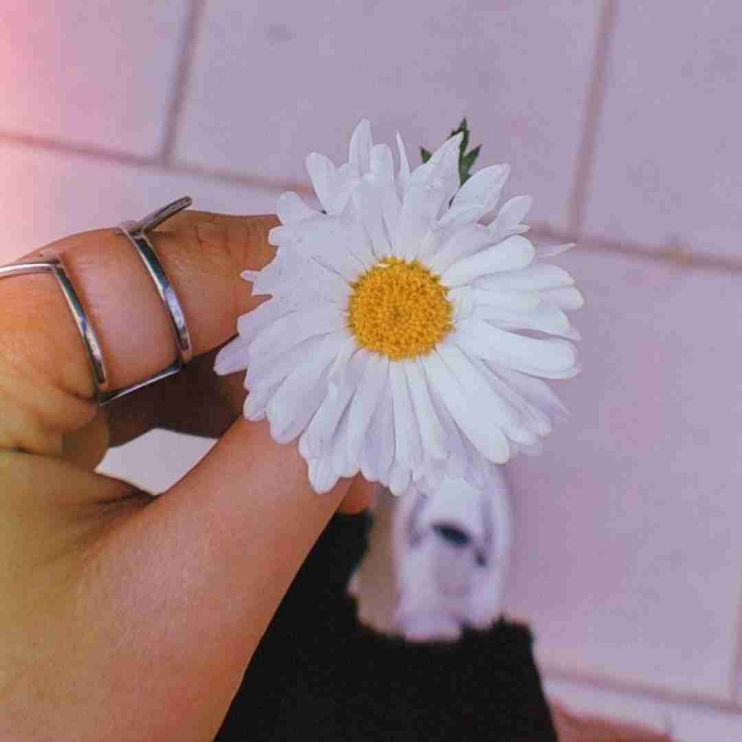 آی دختر صحرا نیلوفر او بابا چی بودی
