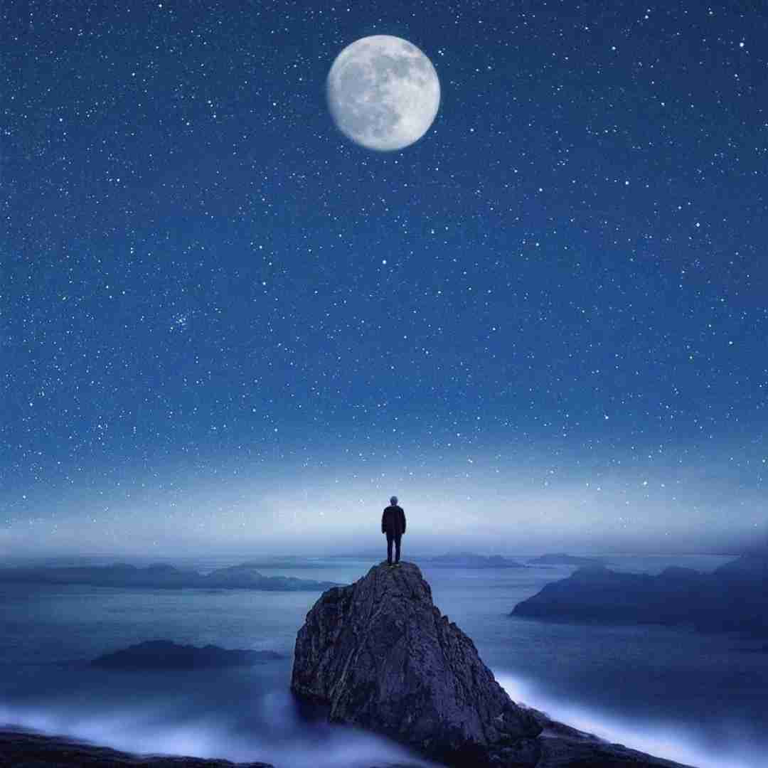 سلمونی نرو با ما بد باش فقط با صدای پاتریک
