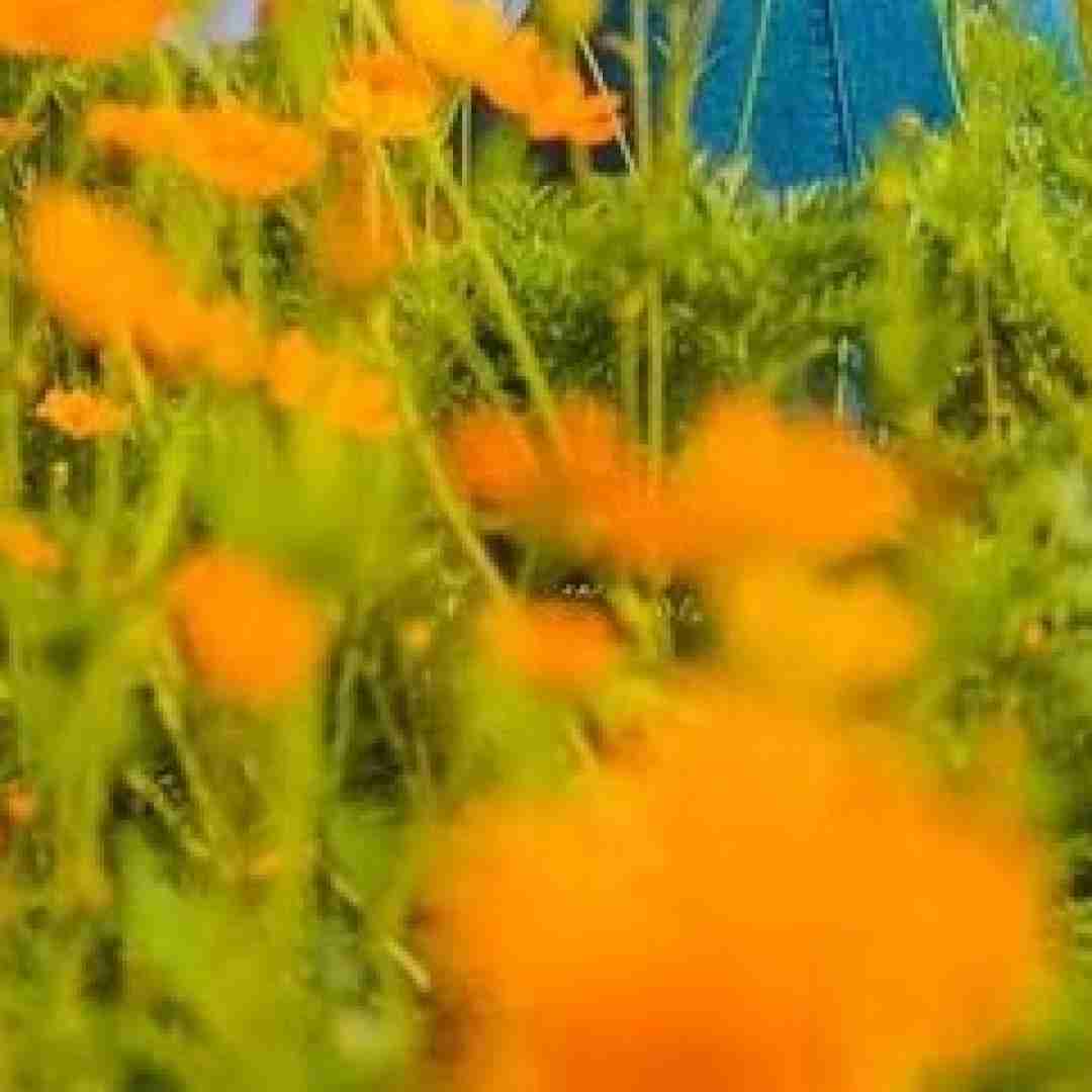 ولی من حالم خوب نی برام سخته دوری