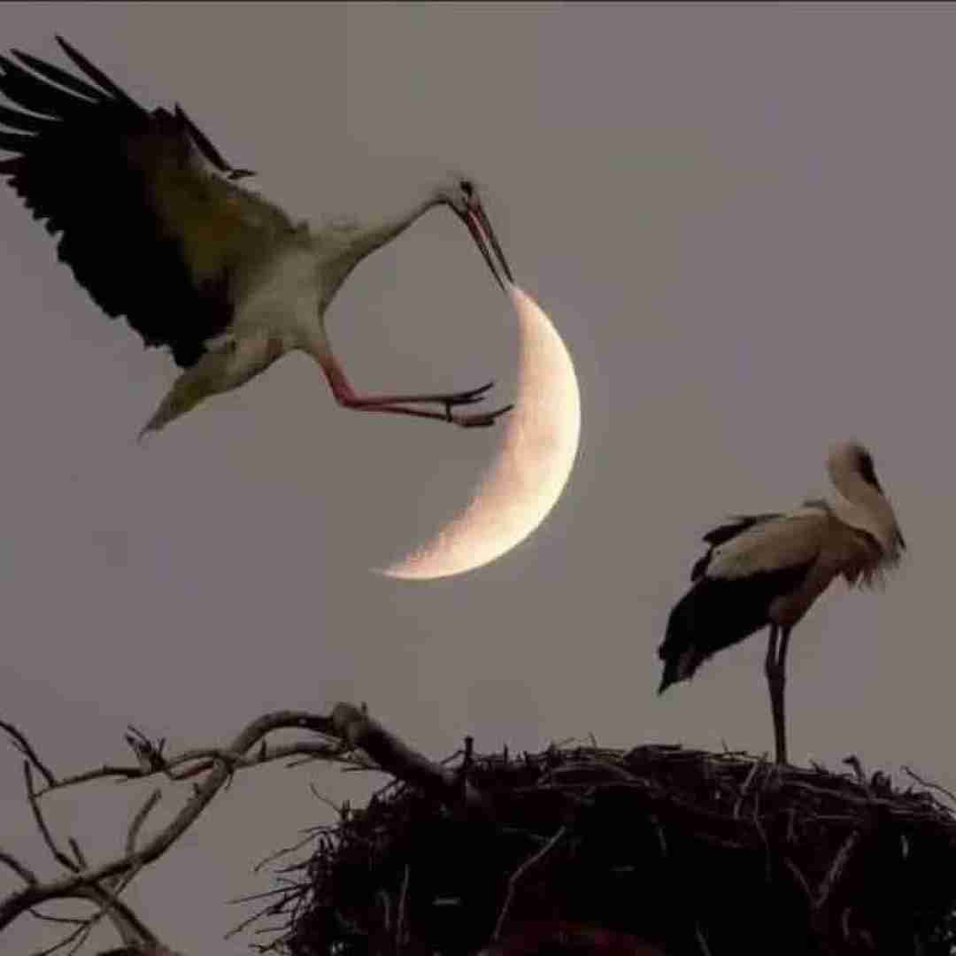 لولا تجینی ساعة ونسکر الباب