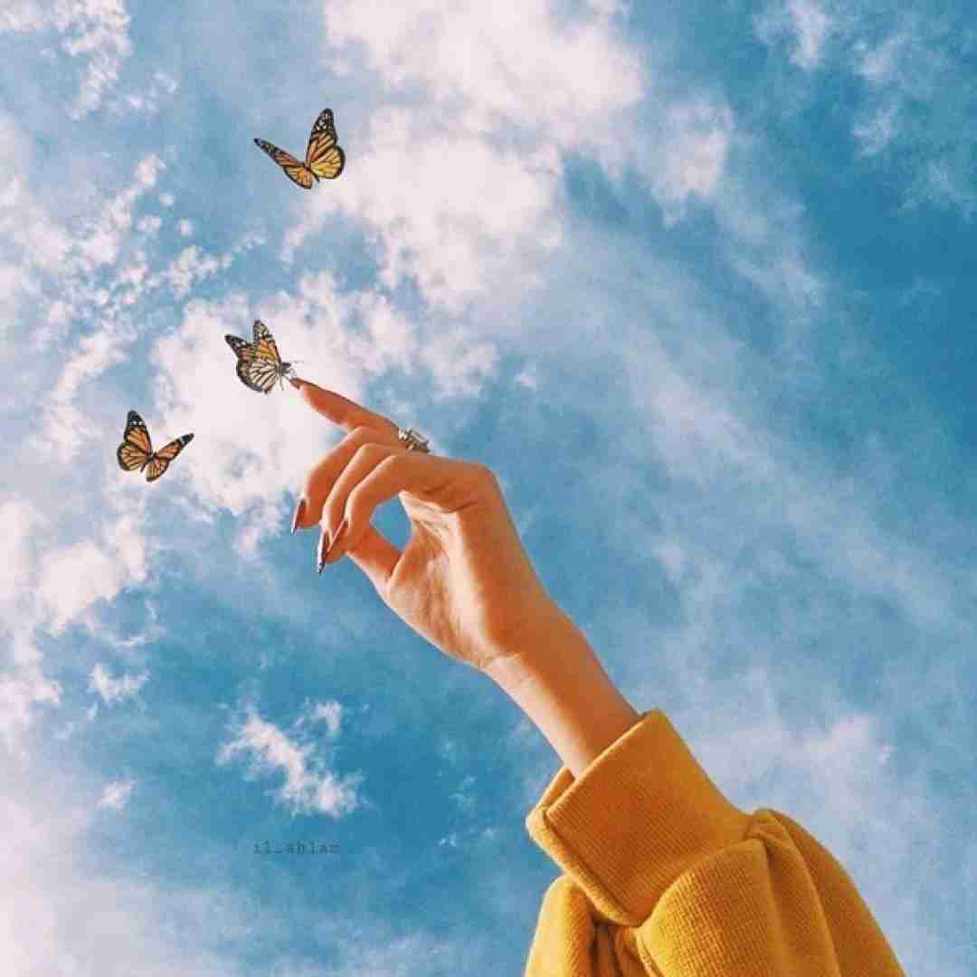  خارجی مزش شبیه فلفله حسم میکنی