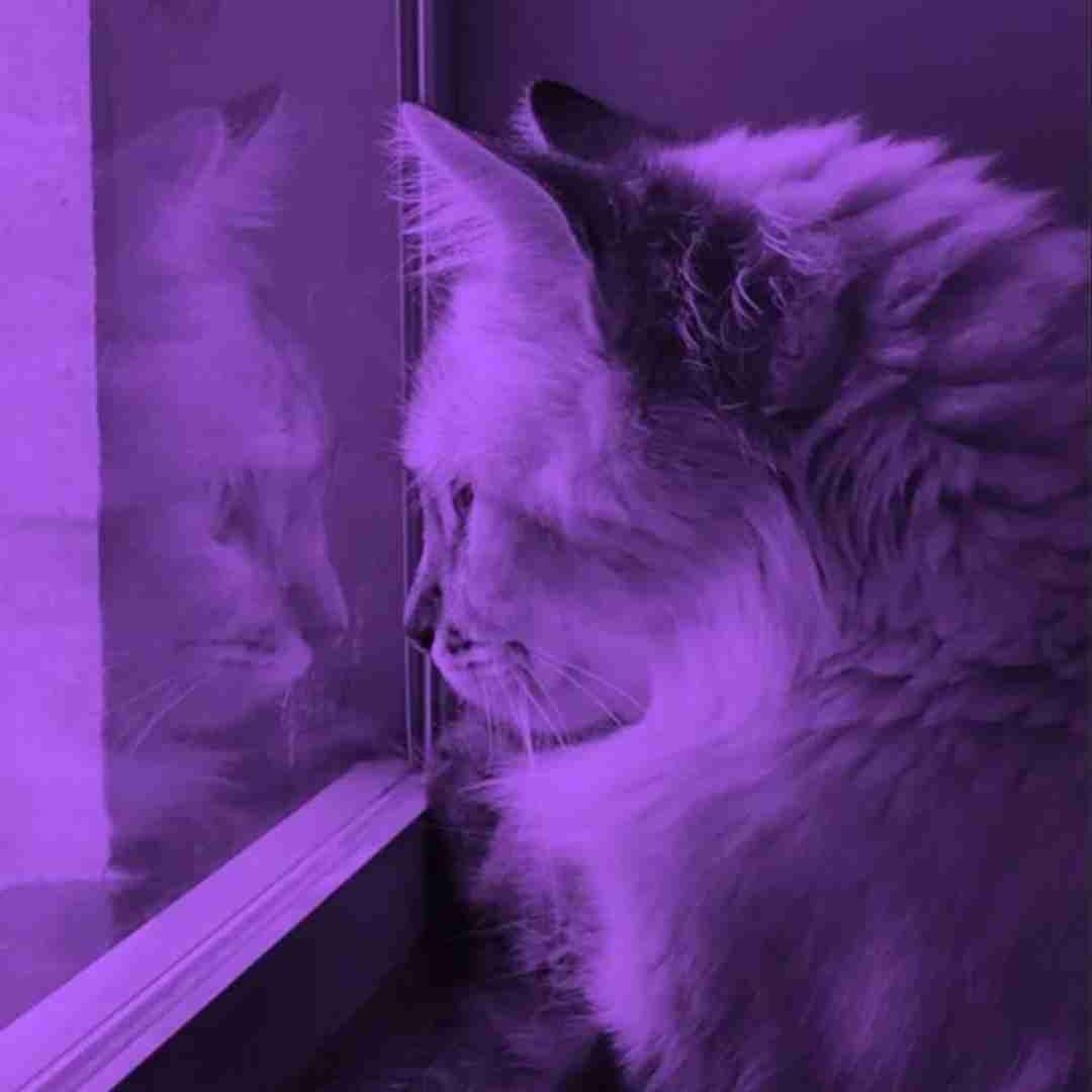  Do You Love Me