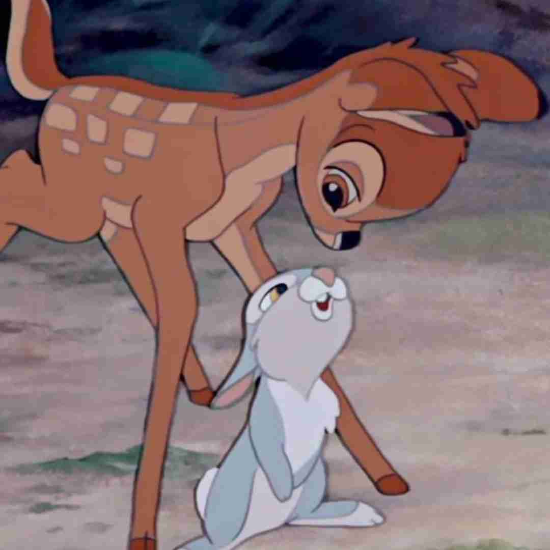 عزيزم دووم بيار خوب ميشه زخم و كبوديات