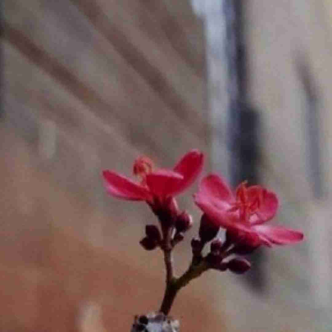 تنم داره میره بالا هی دنیا زیر پاهامه