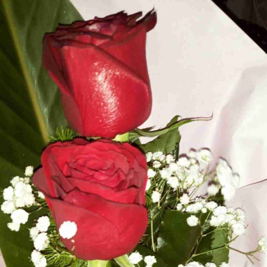 سه و چار و پنج و شیش تیغارو پشت هم بزن با صدای باب اسفنجی