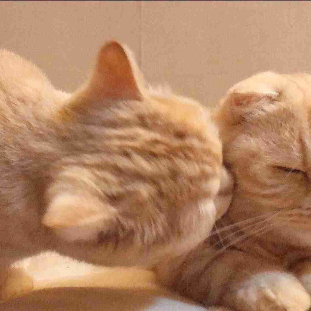  جدید بود نبود عجیب بود نبود