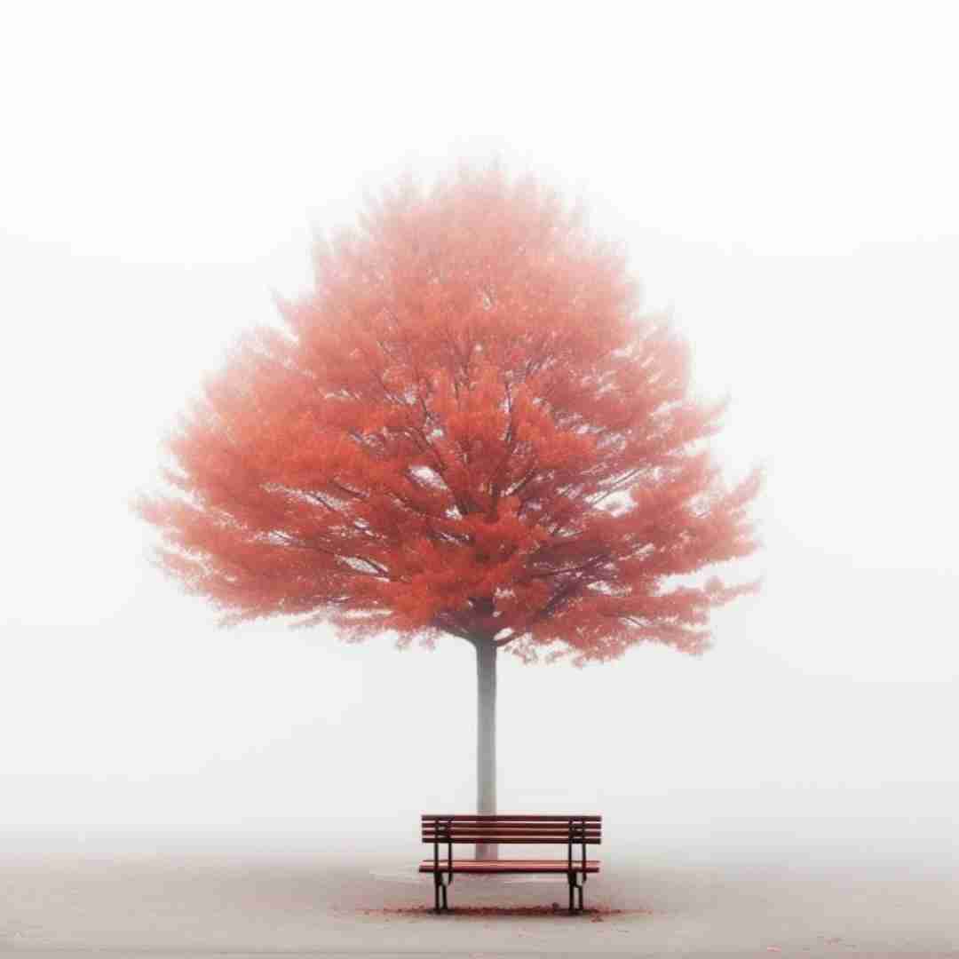  دلم گیره گیره عشقته نباشی میمیره