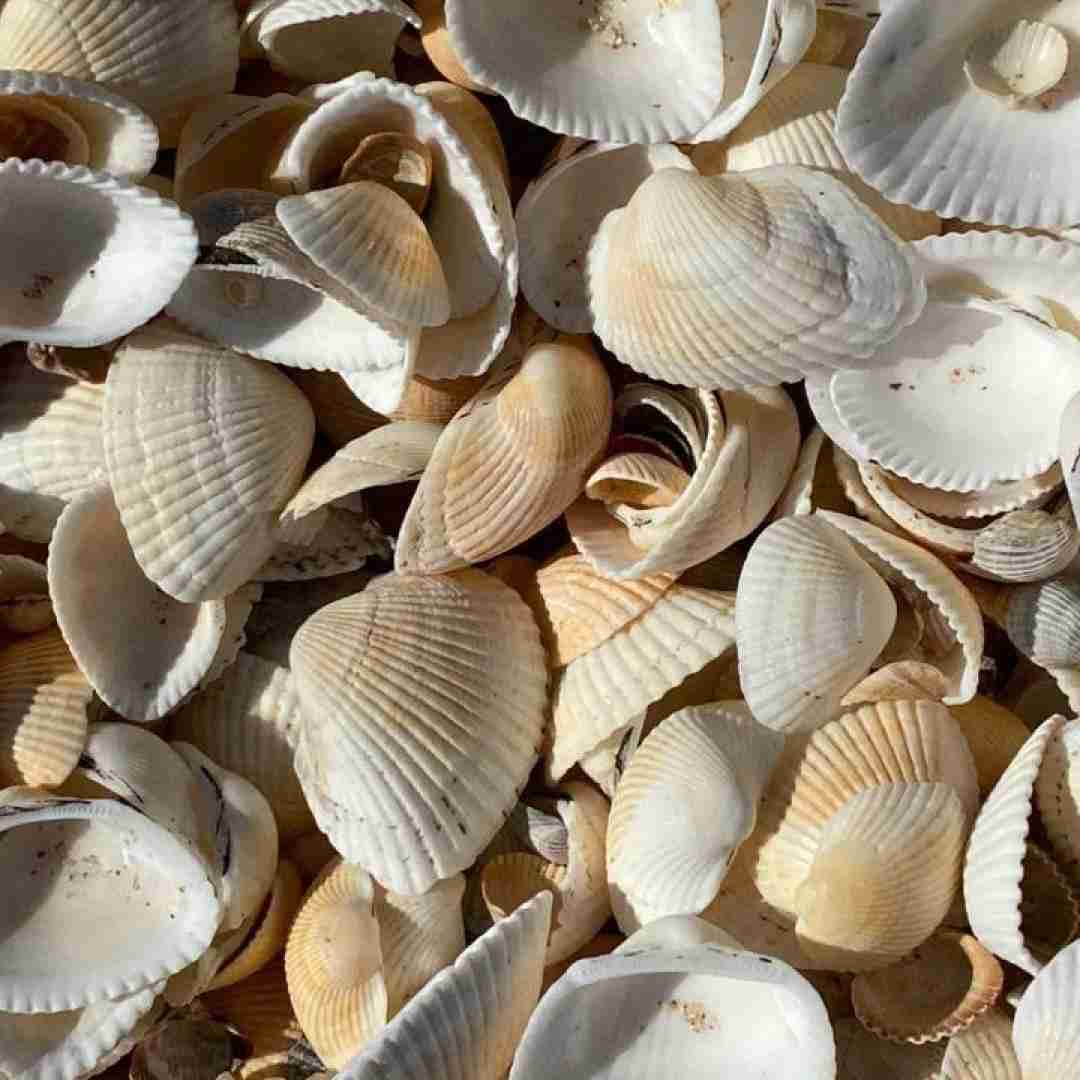  موبایلت منو کشته پروفایلت منو کشته