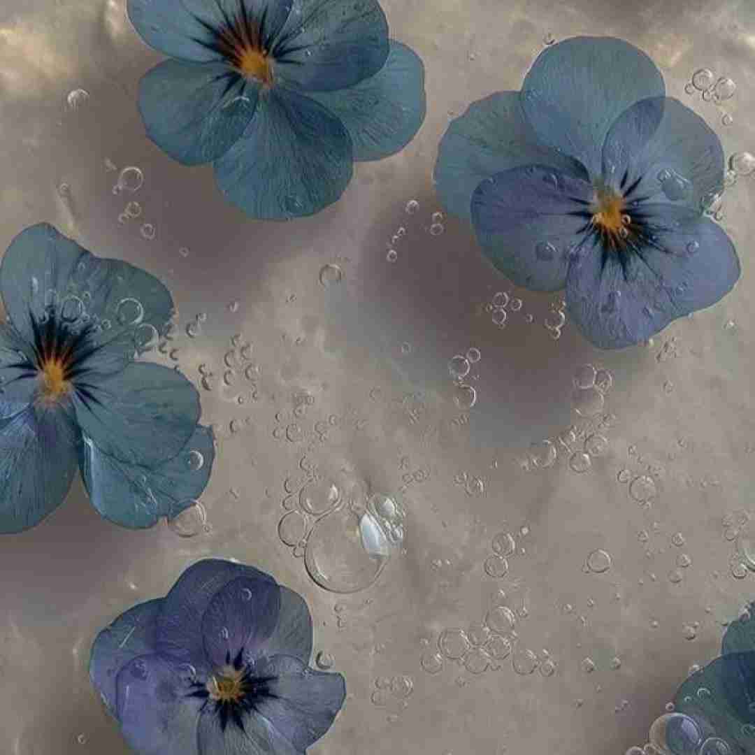  کسی نمیفهمه حاله منو ولی من همین دورو برمو
