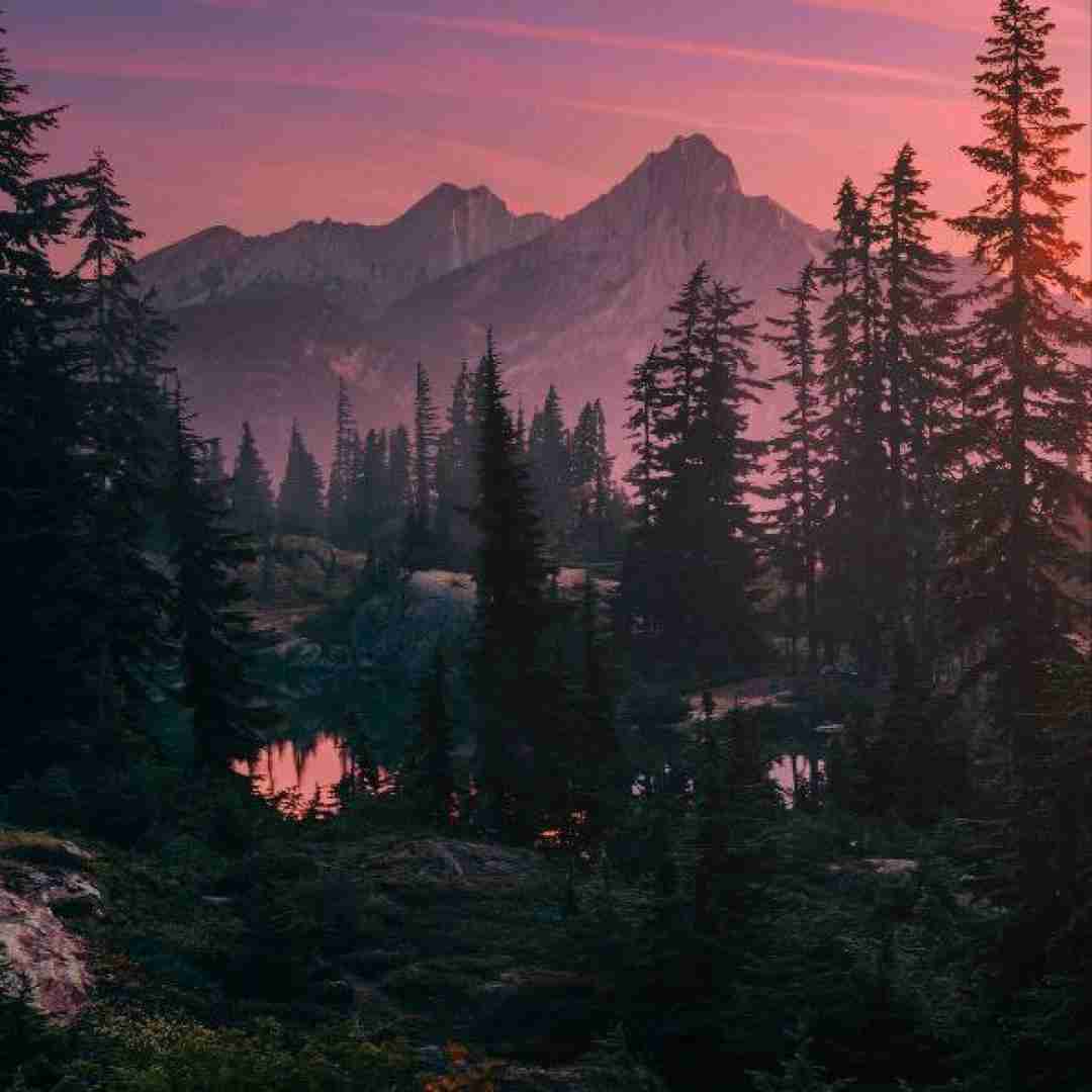  آدما از آدما زود سیر میشن آدما از عشق هم با صدای دختر اینستایی