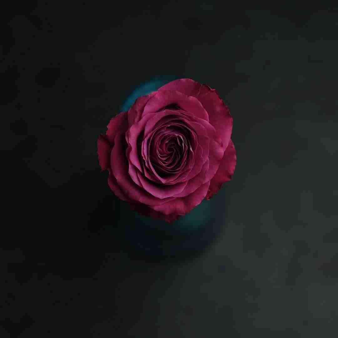 ماه نگار بعضی وقتیل هوات دیده سرم