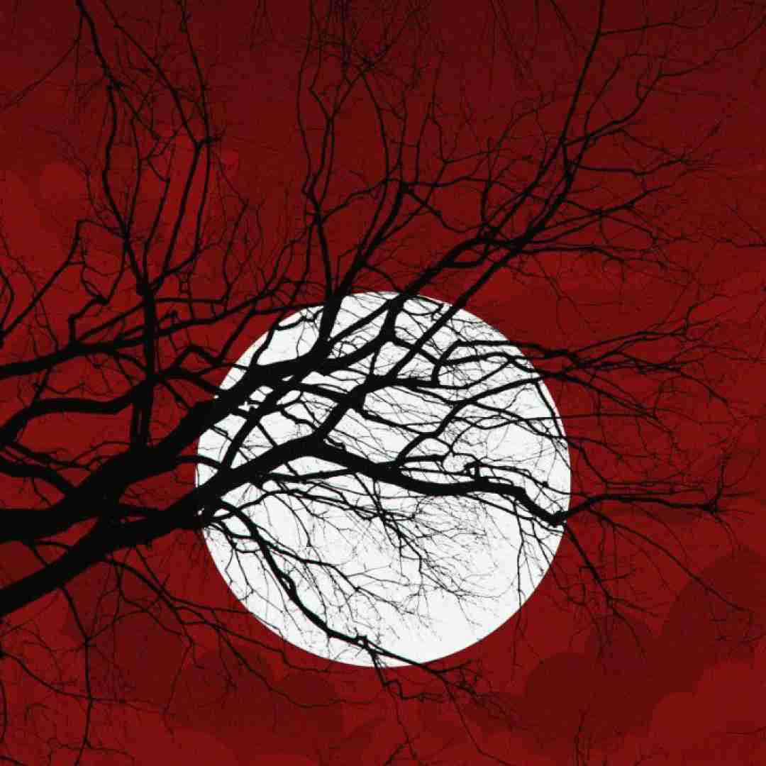 دشی کجا مگه نمیبینی اشکای منو نذار انقد سر به سرما