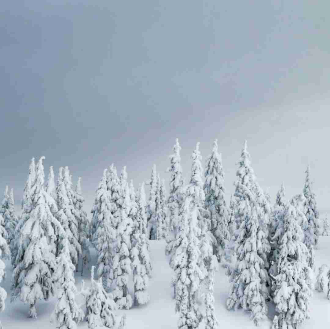 فاطمه عطایی بمیرم بیمه رسوای شهر