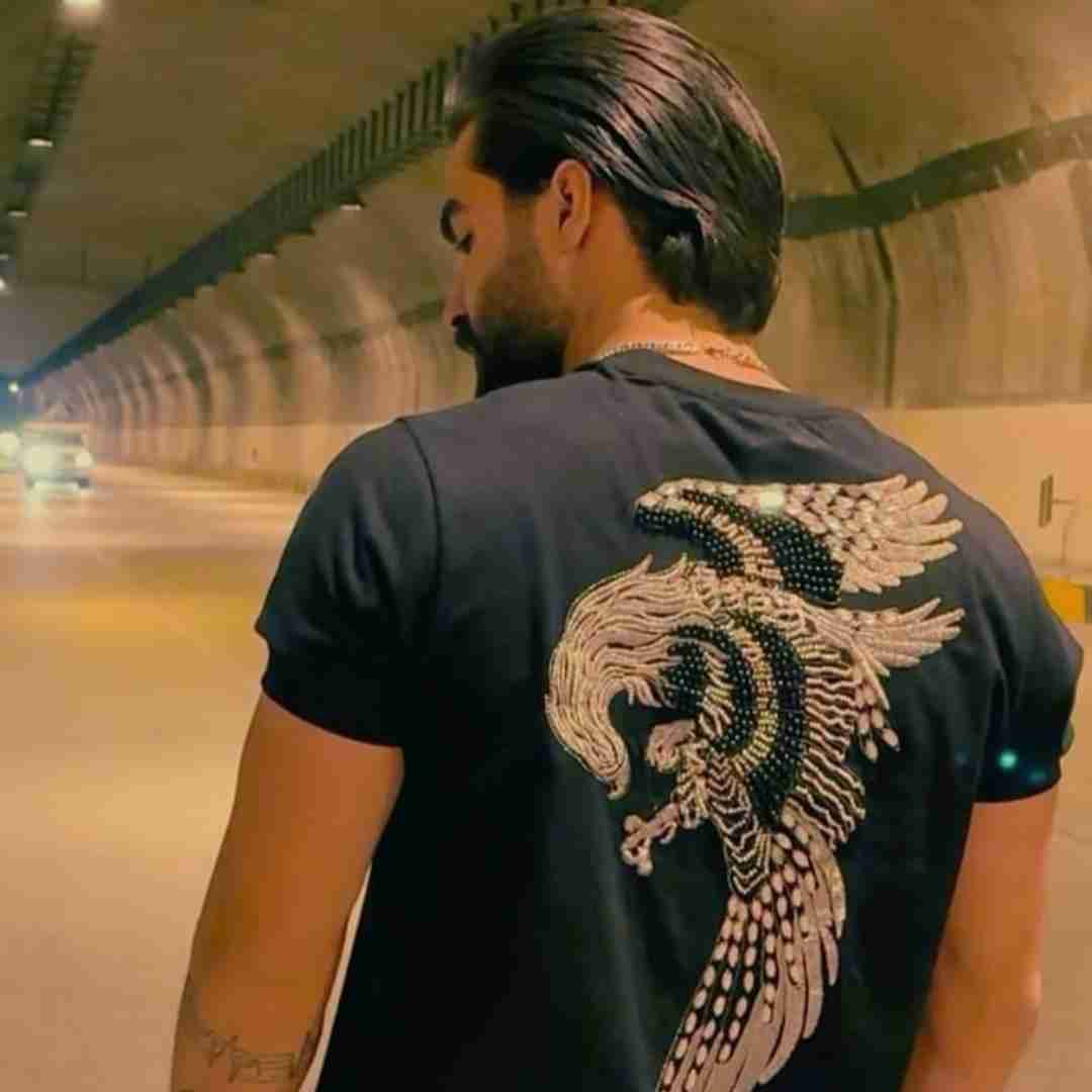 حمیدرضا بابایی خور نری از ای دل لاکردارمه