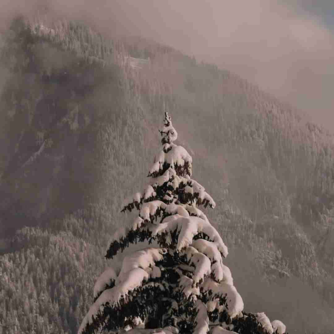 فاطمه عطایی نرم نرم وارش زنه و بیته دل باره