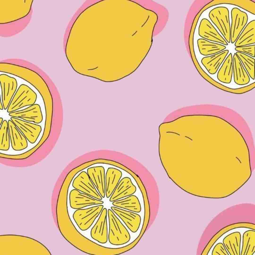  تو که نمیتونی بحث کنی حرف بلد نیستی میخوای بحث کنی