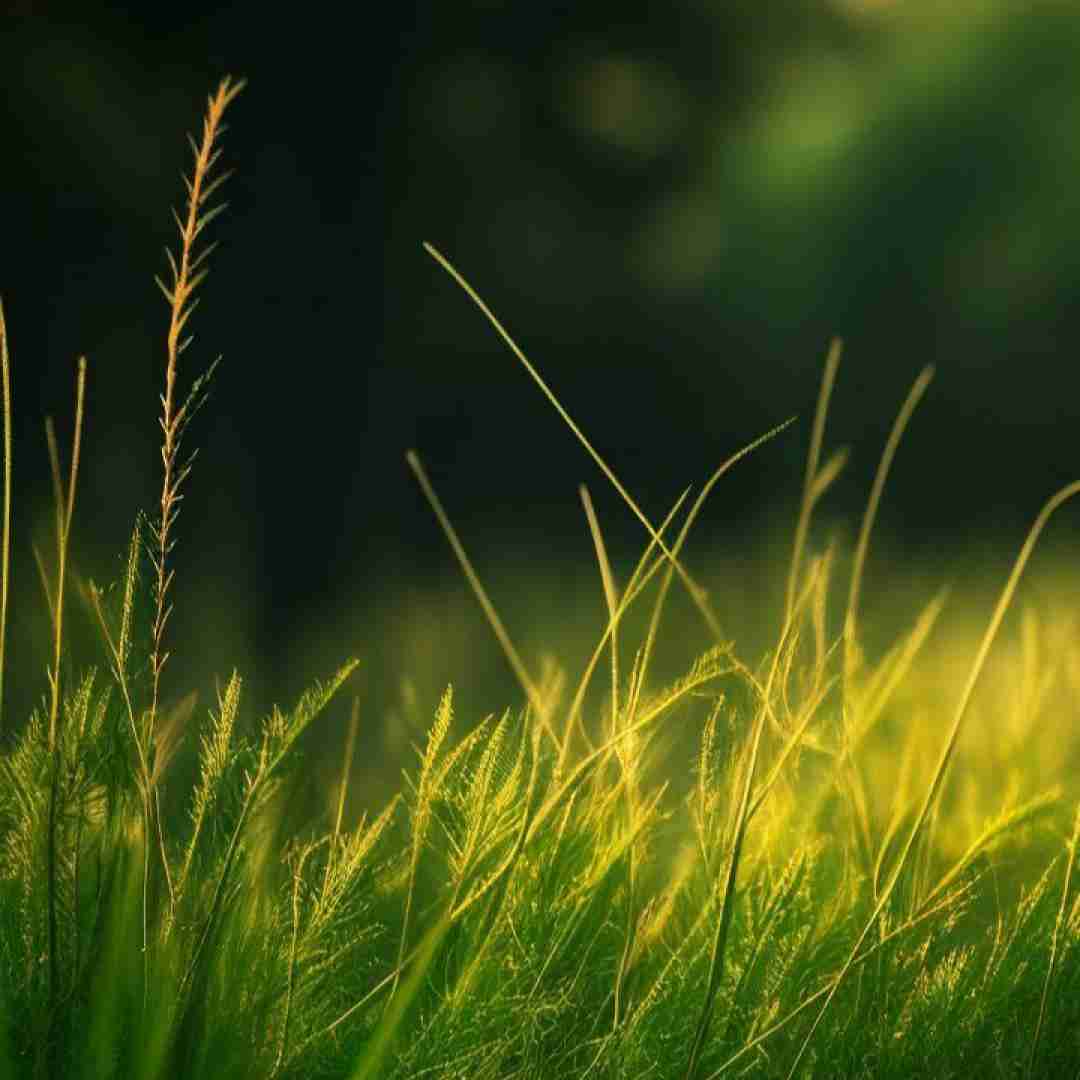  تو مویرگای مغز منی بیا من خنده میشم رو لبت