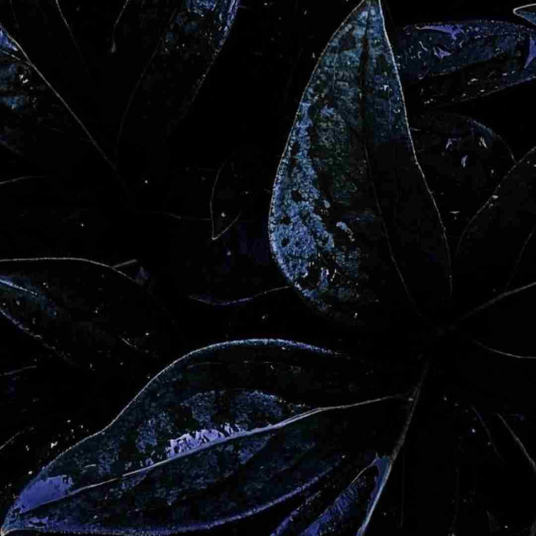  چرا دیگه نمیخندم شبا دیگه چشامو نمیبندم