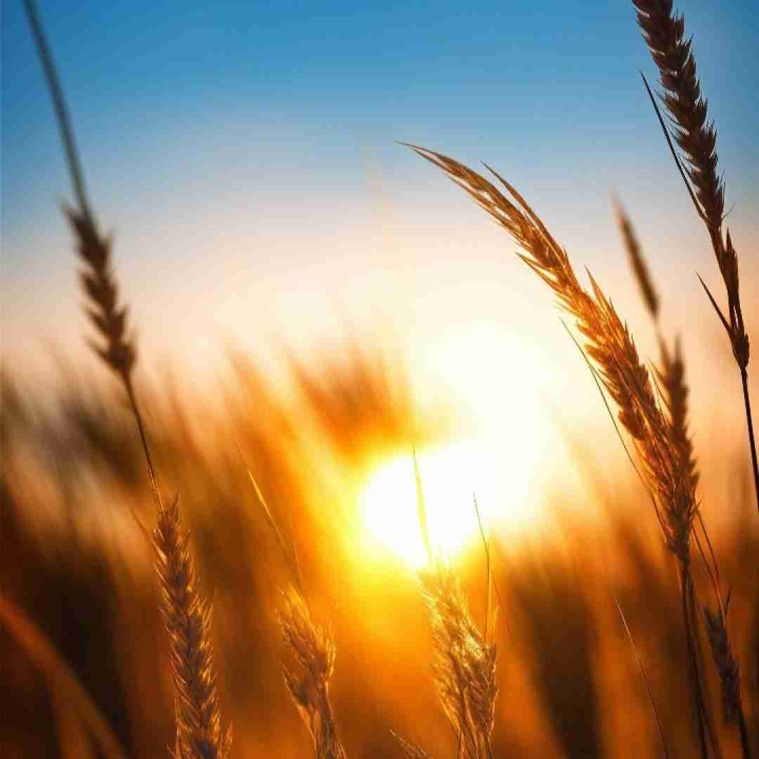  کل ای شهر حسود عشق منو تو بین بسمه لش وبان ای تخته