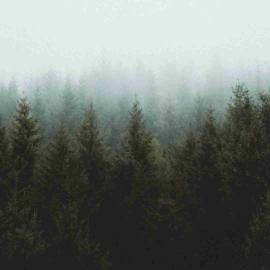 فاطمه عطایی قلندر من غریبمه