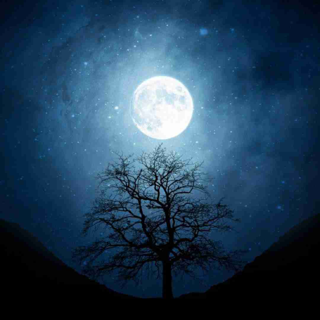 نگاه بچه رو به به شمارمو بهش بدم نه نه (ترند اینستایی)